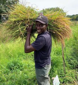 nfamara-ever-growing-farm-pic-dawn-hoyte